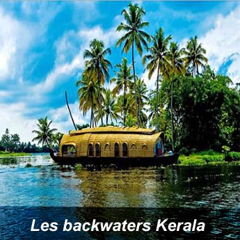 Les Backwaters Kerala