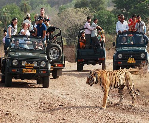 Ranthambhore
